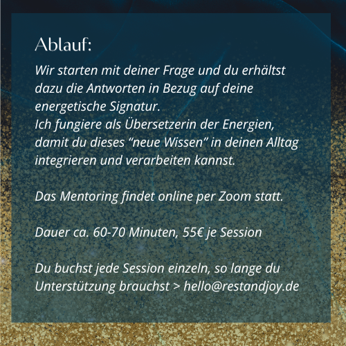 Ablauf Mentoring "Energetische Signatur"